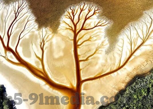 成在线人免费视频一区二区-探索网络学习新境界，成在线人免费视频一区二区的深度体验