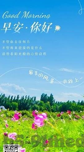 大象一视频-象影随行，大象与一视频的奇妙邂逅