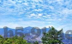 久久婷婷国产麻豆91天堂-探讨国产网络直播中的文化现象与影响
