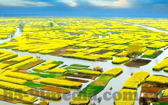麻豆app源码-麻豆app源码，探寻创意与效率的数字桥梁