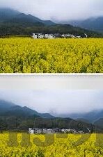 麻豆传媒的网址-