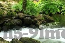 麻豆经济app能约吗-把握现实与虚拟的界限，麻豆经济app的社交与责任
