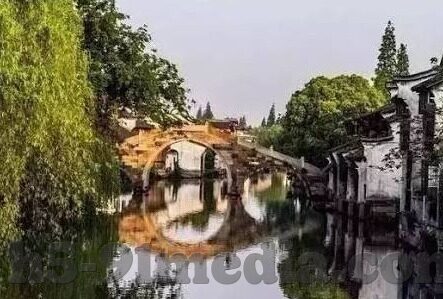 麻豆日记app全是广告-麻豆日记app——广告泛滥背后的真相