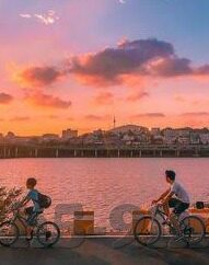 糖心app视频下载安装-探索多元化娱乐方式，理性看待糖心app视频体验