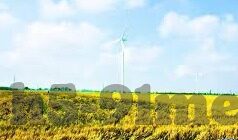 糖心app最新下载地址ios-有关糖心app在iOS设备上的最新下载途径分享